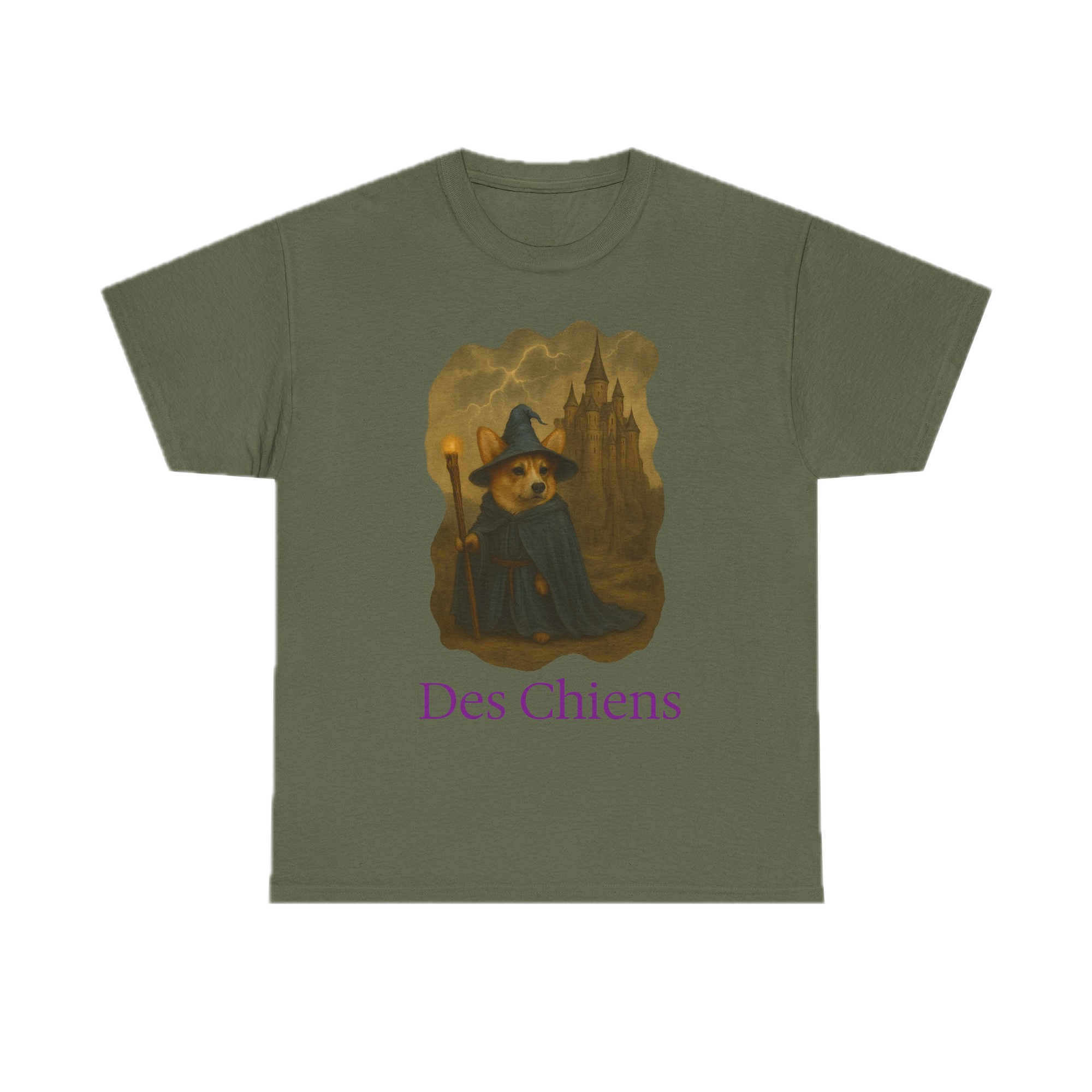Wizard of Wales