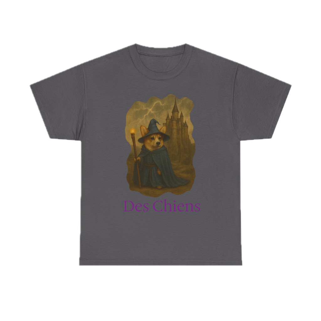 Wizard of Wales