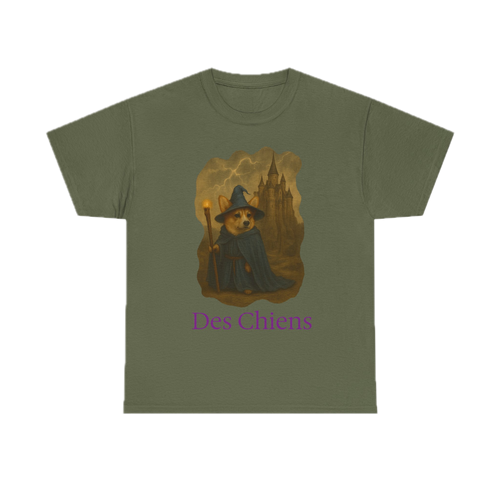 Wizard of Wales